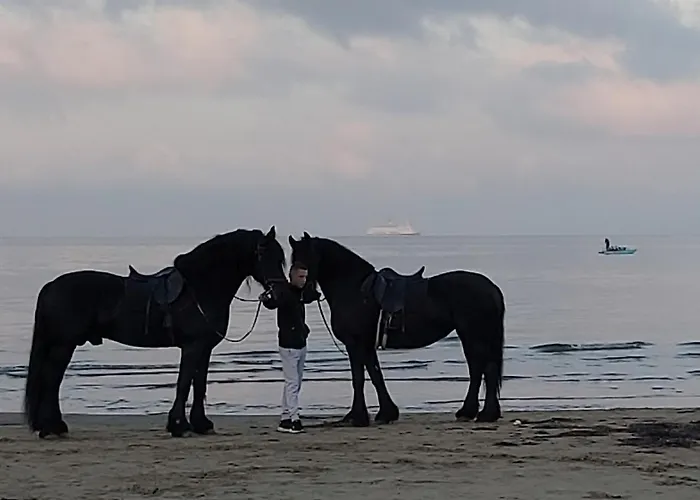 Seaview & * Golem (Tirana)